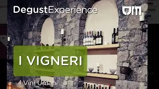 I Vigneri di Salvo Foti | DegustEtna