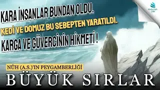 12. NUH (A.S.)'IN PEYGAMBERLİĞİ - ENVARÜ'L AŞIKÎN KİTABI. Yazıcıoğlu Ahmed Bican.