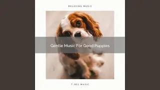 Gentle Vibes For Devoted Dogs
