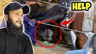 Garmi ki waja se cow Truck ma gir gae 😭 Fahad Bhai Official