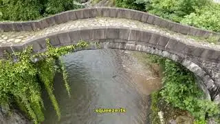 The 5 Bridges That Defy Gravity (And The Physics That Makes It Possible)