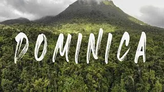 Dominica diving  - Caribbean pearl