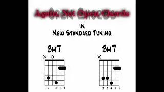 Two B Minor 7th Chords in New Standard Tuning