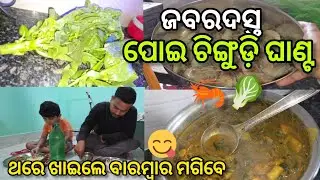 ଜବରଦସ୍ତ ପୋଇ ଚିଙ୍ଗୁଡ଼ି ଘାଣ୍ଟ 🥬🦐 ରୋଷେଇ କରୁ କରୁ Gas ସରି ଗଲା 🥺😱 |Seetanjali's Life | Odia Vlog 🌺