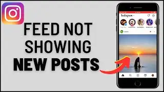 How to Fix Instagram Feed Not Showing Now Posts