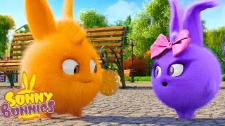 SUNNY BUNNIES - Golden Coin | Season 1 | Cartoons for Children