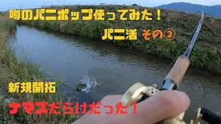 噂のパニポップ使ってみた！パニ活 その② 新規開拓 ナマズだらけだった！