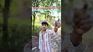 new reels tarindeng reels viral video royal brand