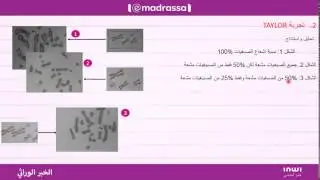 آلية مضاعفة جزيئة ADN