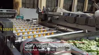 fruit and vegetable washing and blowing line vegetable processing line