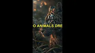 Unlocking the Secrets: What Do Animals Really Dream About?