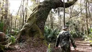 2025-12-19 at 1025 EST Star Island aka Almost Lost World of the Ocklawaha River basin Florida