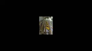 240V Rising Arm Automatic Boom Barrier For One Exit Parking System