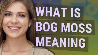 Bog moss | meaning of Bog moss