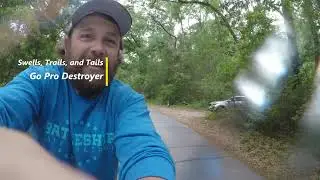 Carolina Beach State Park campground