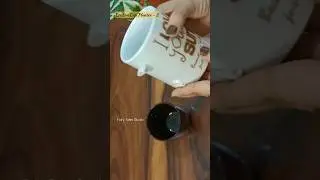 Broken Coffee Mug Planter #diy #reuse #viral #trending #youtubeshorts #shorts #crafts