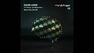 David Lowe - Now You Do (Original Mix) [MINDSHAKE RECORDS]