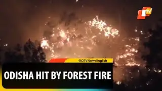 Odisha: Similipal Forest Fire Raging Since February!