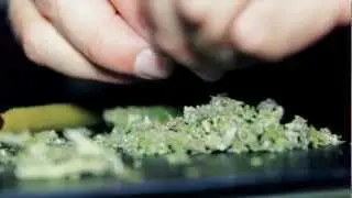 Elliott Niezel feat KD - Rollz (Offical Music Video)