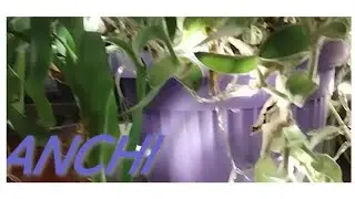 ❤️DEVICA ❤️nekoga inspirišete na promenu❤️
