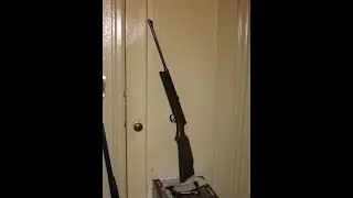 Sears push barrel BB gun