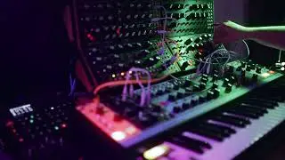 Short JAM 015 