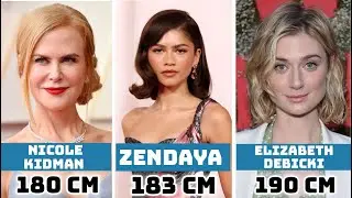 Hollywood Actresses Height Comparison | Ranking Celebrities from Shortest to Tallest
