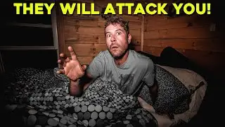 (THEY WILL ATTACK YOU!) SCARIEST NIGHT CAMPING ALONE in HAUNTED CABIN IN THE WOODS