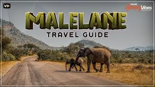 Discover Malelane: Ultimate Travel Guide to South Africa's Hidden Gem | World Holiday Vibes
