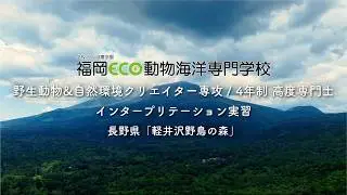【野生動物＆自然環境クリエーター専攻/４年制 高度専門士】インタープリテーション実習＠長野県「軽井沢 野鳥の森」