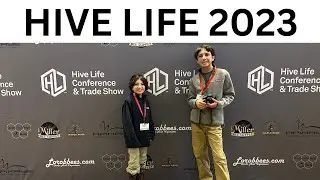 Hive Life 2023