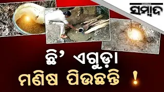 Koraput: Excise Department Raids in Baipariguda | Sambad