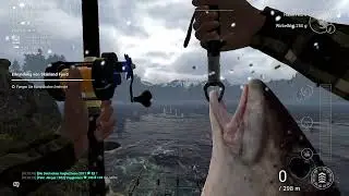 Fishing Planet Norwegen einzigartiger Schellfisch