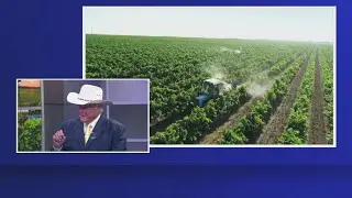 TX Agriculture Commissioner discusses farming, beef prices, and possible hemp bans