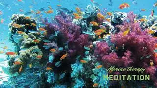 Marine Therapy Meditation for relaxation yoga normalizing sleep improving well-being, calming down