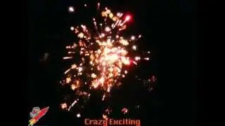 Crazy Exciting   Wild Willy's Fireworks