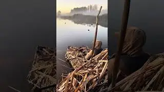 Duck Hunting In a Kayak?