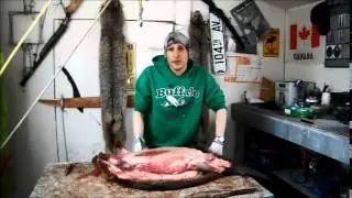 Lets Talk Fur Harvestors N W T