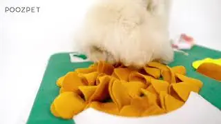 POOZPET &middot; Premium Snuffle Mat &middot; HK Style Restaurant