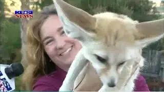 KUSI News visits Animal Bond Academy at Critter Encounters (2)