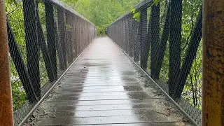 Bruce Trail - 6th Line to Speyside - July 2023