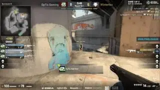 Naffly Ace VS Winterfox[Proleague]