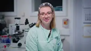 Scientists develop new models to investigate brain haemorrhage that can replace the use of mammals