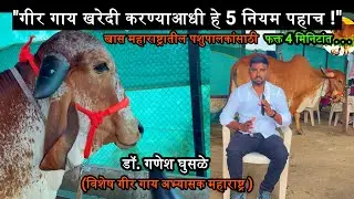 गीर गाय खरेदी करण्याआधी जाणून घ्या 5 महत्वाच्या गोष्टी | Dr. Ganesh Ghusale   @girkranti #gircow
