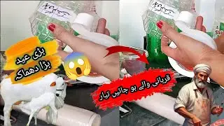 Best Way to Store Meat After Qurbani | Long-Term Freezing Tips| Ghost