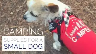 🐕⛺️Camping With a Small Dog - Outdoor Camp Equipment For Chihuahuas and Small Dogs