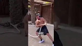 Tug of War With Tiger 🐅 | Zoo Adventure 2025 | Viral Challenge #shorts