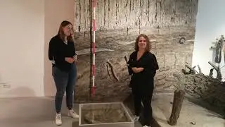SCHATKAMERS IN DE PROVINCIE: Museum Wierdeland in Ezinge