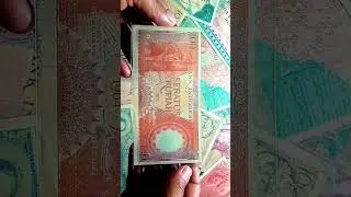 uang kuno 100 rupiah tahun 1964 yang asli patr 2 #kolektoruangkuno #uangkuno #koleksiuangkuno