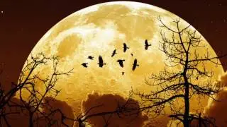 Supermoon Novemeber 14th 2016, Full moon Taurus